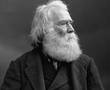 How to insulate your body and your face/ William Notman